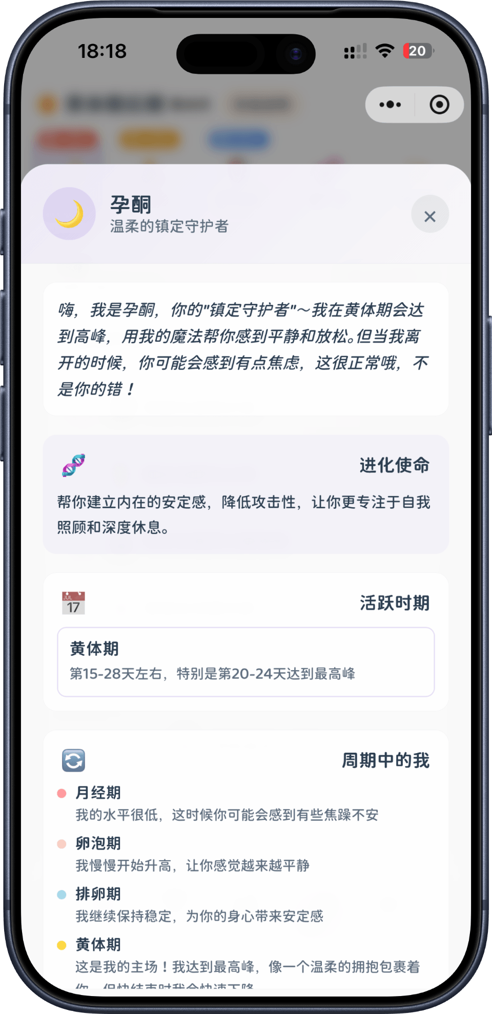 App Screenshot 8