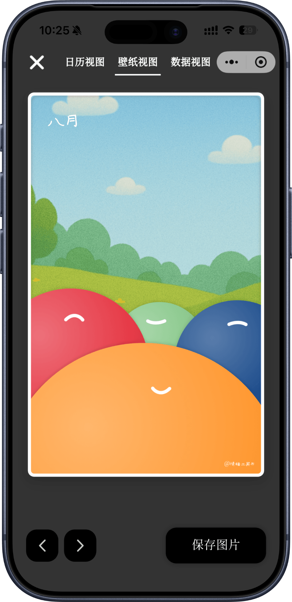 App Screenshot 12