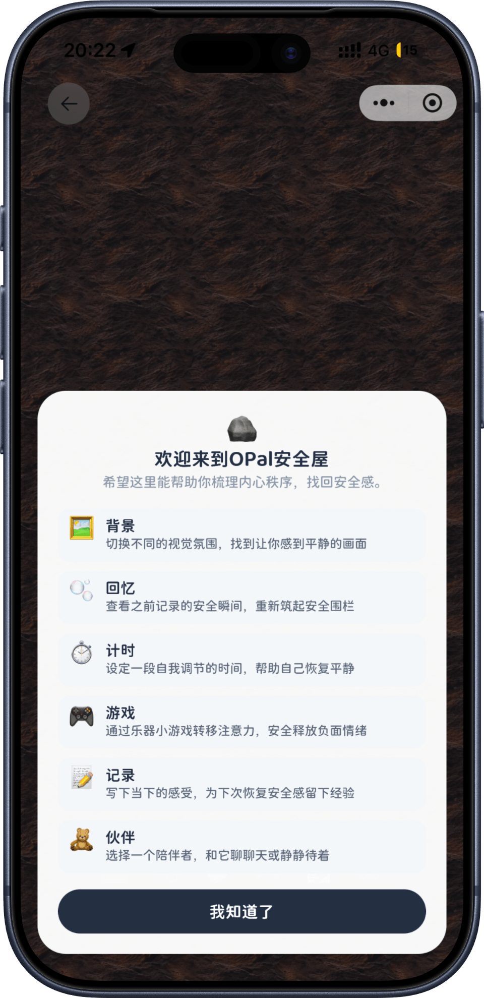 App Screenshot 6